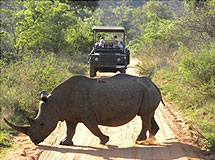 Hippo Bend in Kruger Park