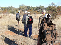 Pilanesberg Accommodation